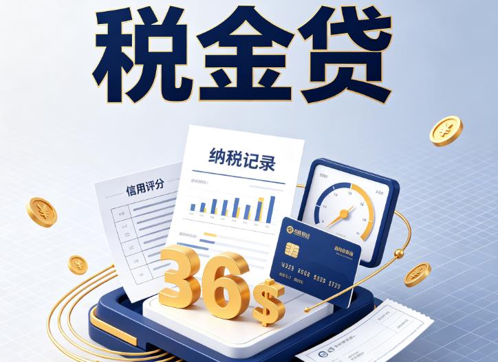 佛山高明区企业税贷|佛山高明区企业设备回租|佛山高明区税贷过桥